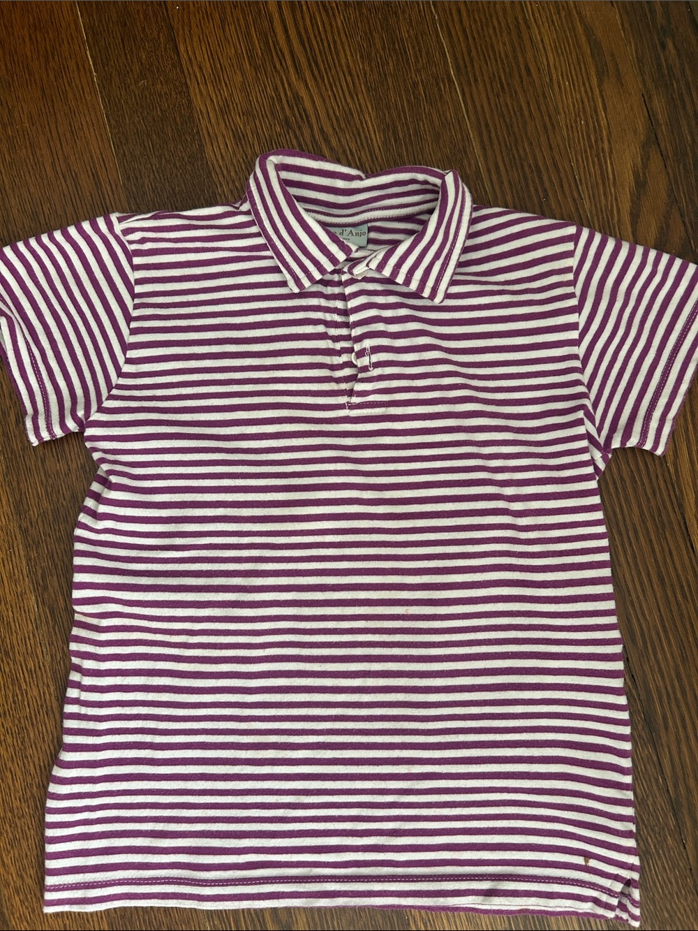 Papo d'Anjo Striped Polo in Purple and White
